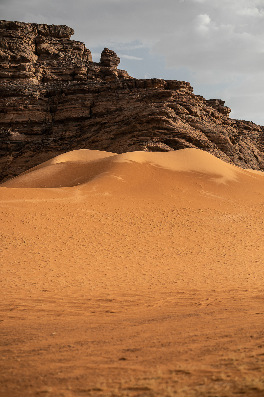 Human & Nature  outoftime 54